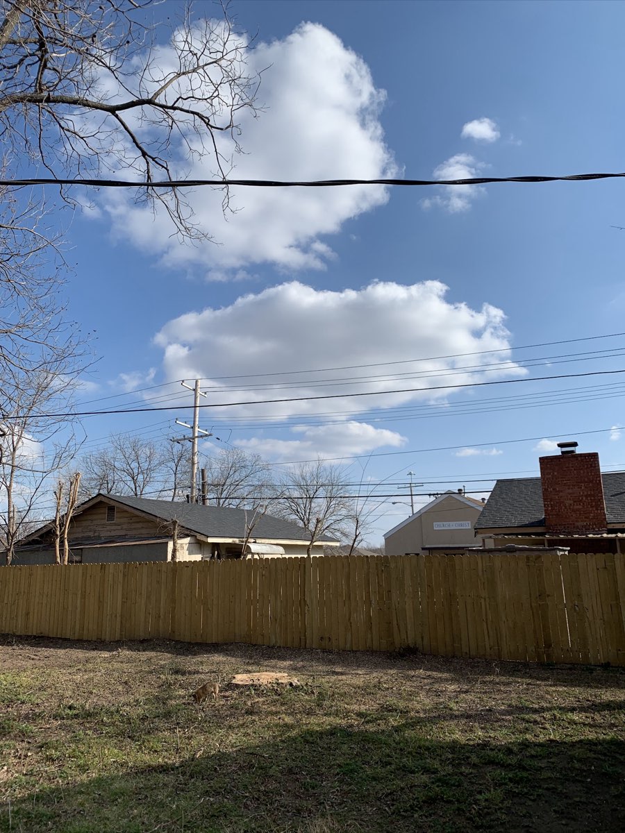 Tree removal work by Commercial Cuts in the Tulsa area